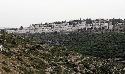 צילום: טל שחר