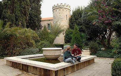 צילום: מאיר אזולאי