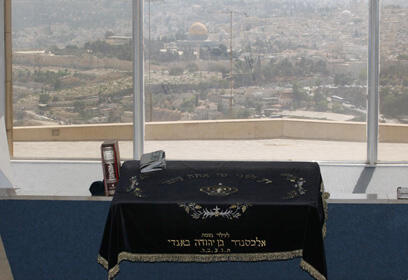 צילום: גיל יוחנן