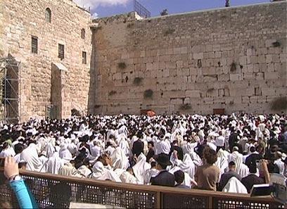 צילום: אלי מנדלבאום