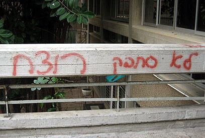 צילום: אדיר ינקו