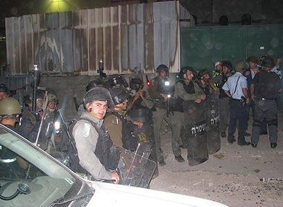 צילום: panet.co.il