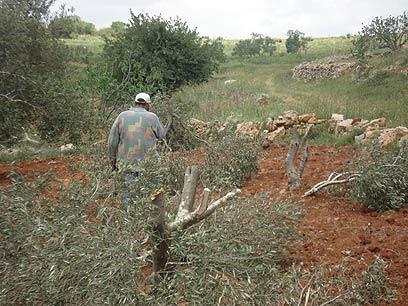 צילום: זכריה סידה
