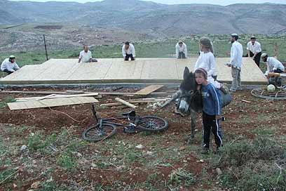 צילום: נעמי דיסין