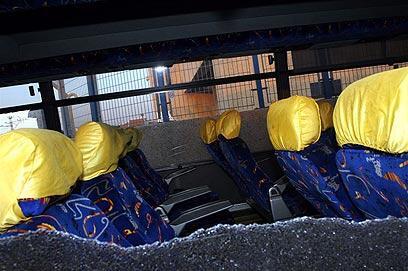 צילום: עופר עמרם