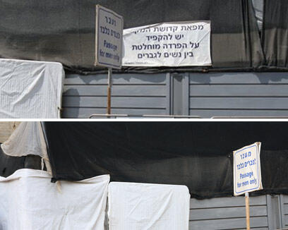 צילום: מרטין וילר , גיא תורג'מן