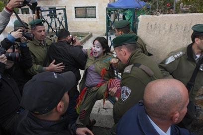 צילום: גיל יוחנן