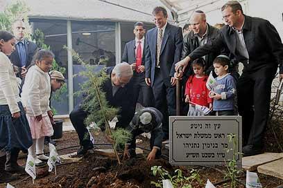 צילום: פלאש 90