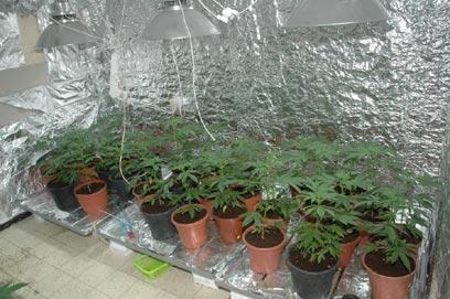 באדיבות משטרת לוד