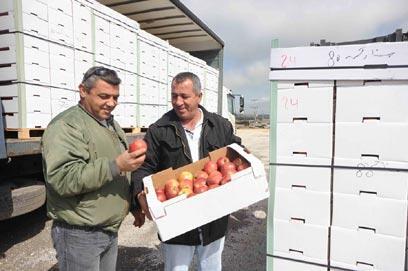 צילום: אביהו שפירא