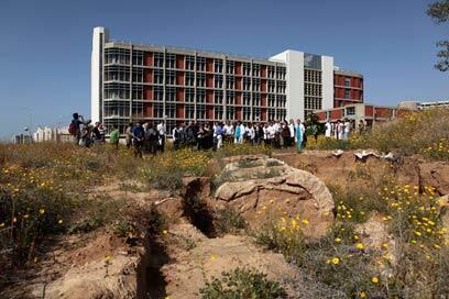 צילום: צפריר אביוב