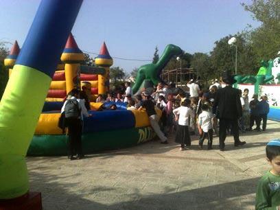 צילום: שמוליק גרוסמן