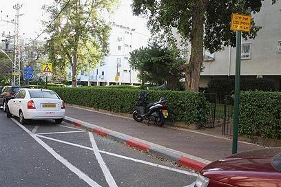 צילום: עופר עמרם