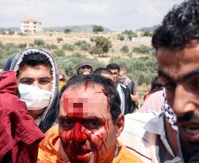 צילום: חמדי אבו רחמה