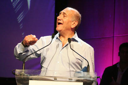 צילום: עופר עמרם