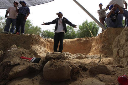 צילום: צפריר אביוב