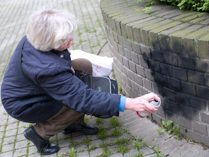 צילום: הדר שטול