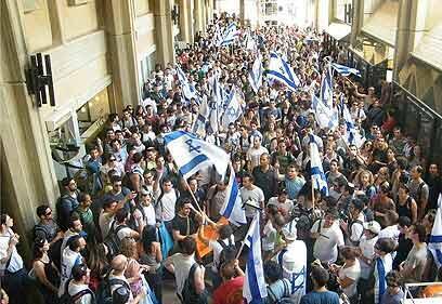 צילום: נתן גילת