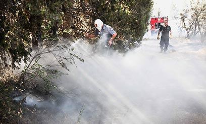 צילום: נועם מושקוביץ