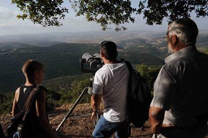 צילום: אביהו שפירא