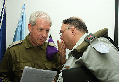 צילום: עופר עמרם