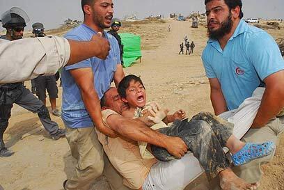 צילום: הרצל יוסף