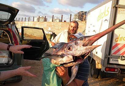 באדיבות halachicadventures