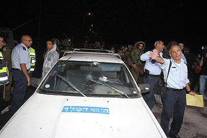 צילום: גיל יוחנן