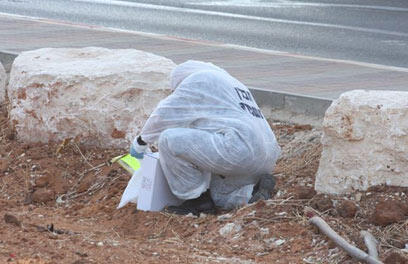 צילום: עופר עמרם