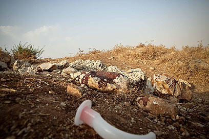 צילום: נועם מושקוביץ