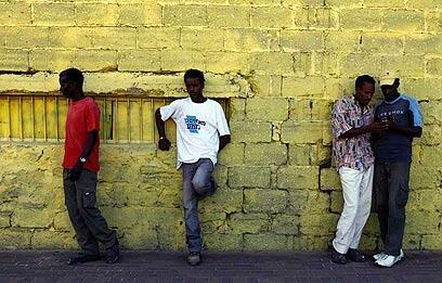 צילום: צפריר אביוב