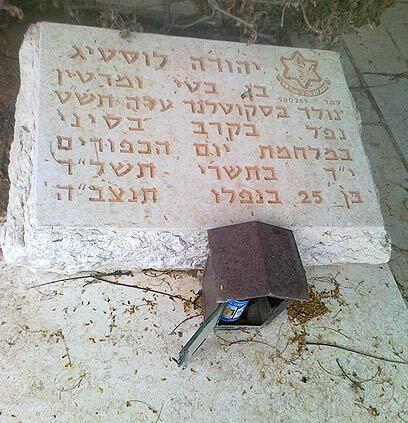 צילום: טובה דדון