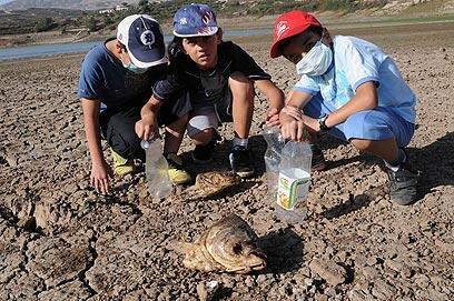 צילום: אביהו שפירא
