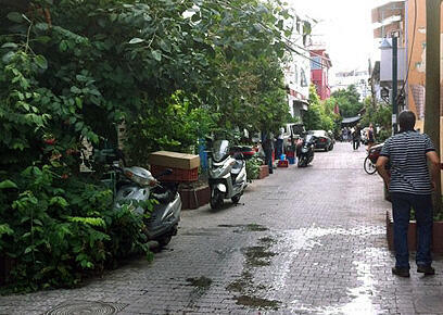 צילום: גיא צברי