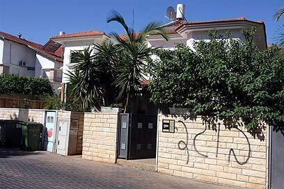 צילום: עופר עמרם