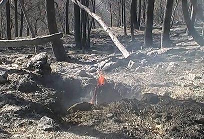צילום: אבישי זיגמן