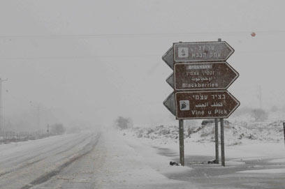 צילום: אביהו שפירא