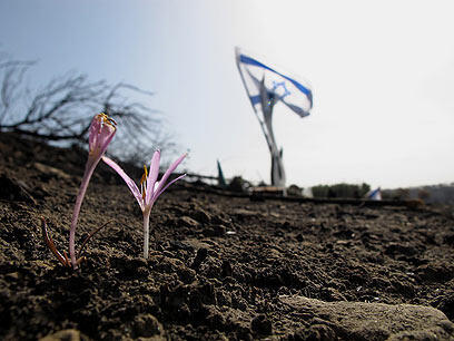 צילום: ליאור סוסנה