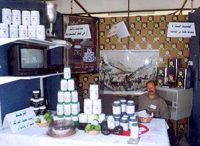 צילום: שחרורי