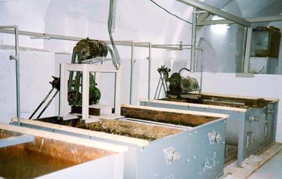 צילום: שחרורי