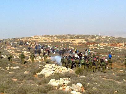 צילום: דוד צביאל