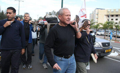 צילום: עופר עמרם