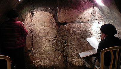 צילום: זיו ריינשטיין