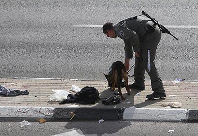 צילום: גיל יוחנן