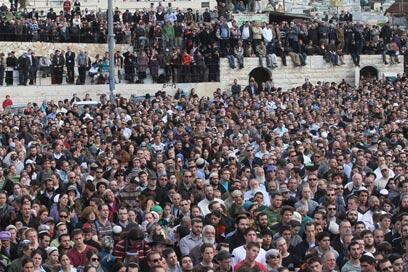 צילום: גיל יוחנן