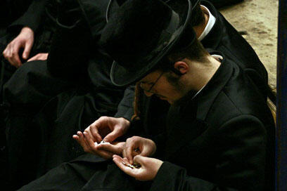 צילום: הראל סטנטון