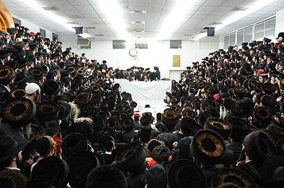 צילום: אהרן ברוך ליבוביץ, לדעת.נט