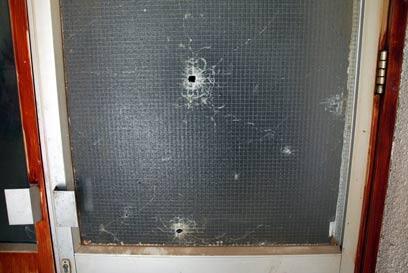 צילום: רועי עידן