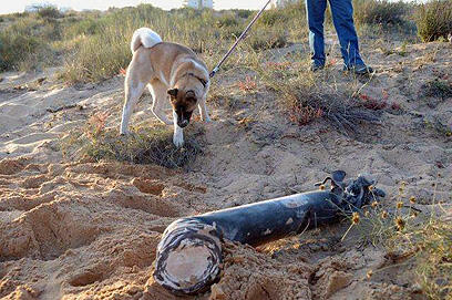 צילום: אבי רוקח