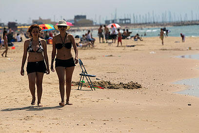 צילום: צפריר אביוב